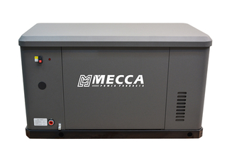 8KW-24KW LPG/NG Dual Fuel Generator for Home Standby 